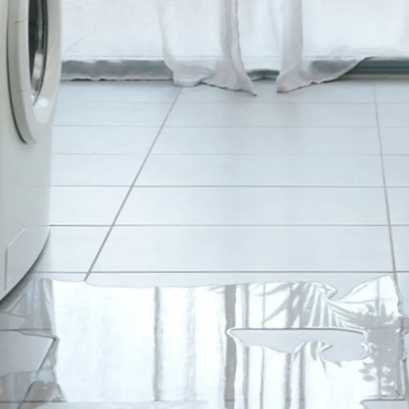 Appliance Leak Cleanup in Poteet, TX