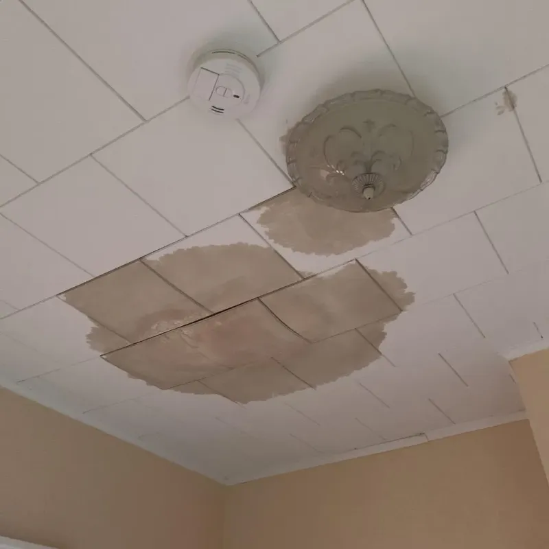 Ceiling Water Damage Repair in Poteet, TX
